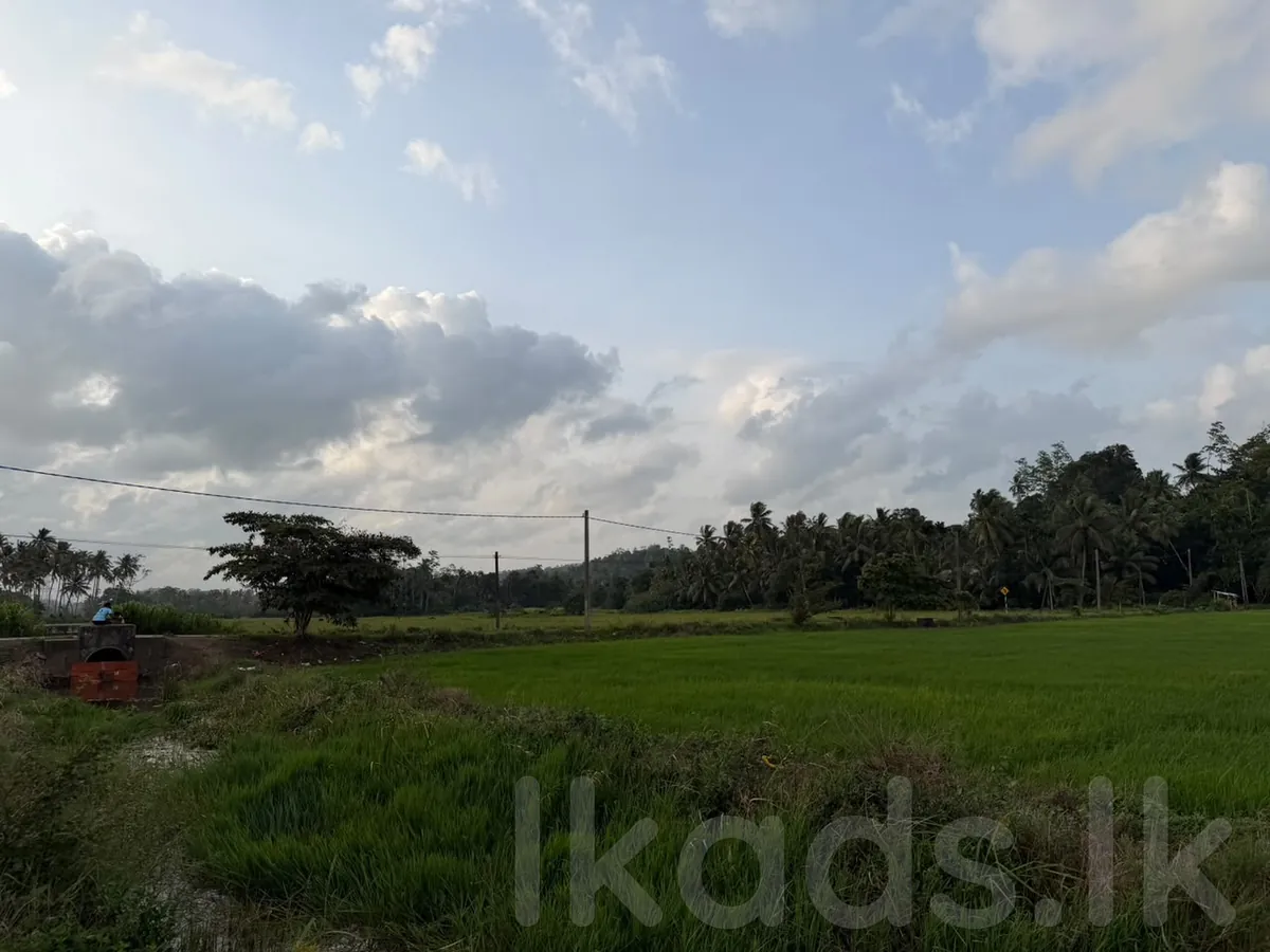 W70 Villa.land – Pinnaduwa – 85 Perches Land for Sale photo 8