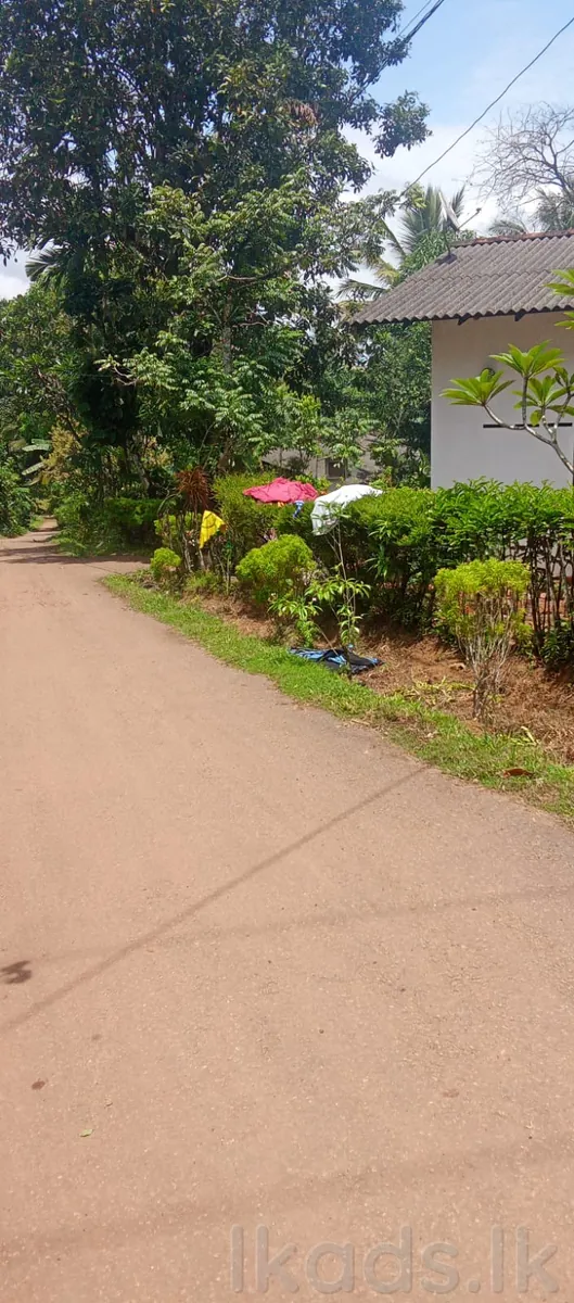 මොරගහහේන – වත්තකඩේ – පර්චස් 25ක ඉඩම හා නිවස – සිල්ලර වෙළඳසැලක් සමග විකිණීමට in Kalutara, Horana