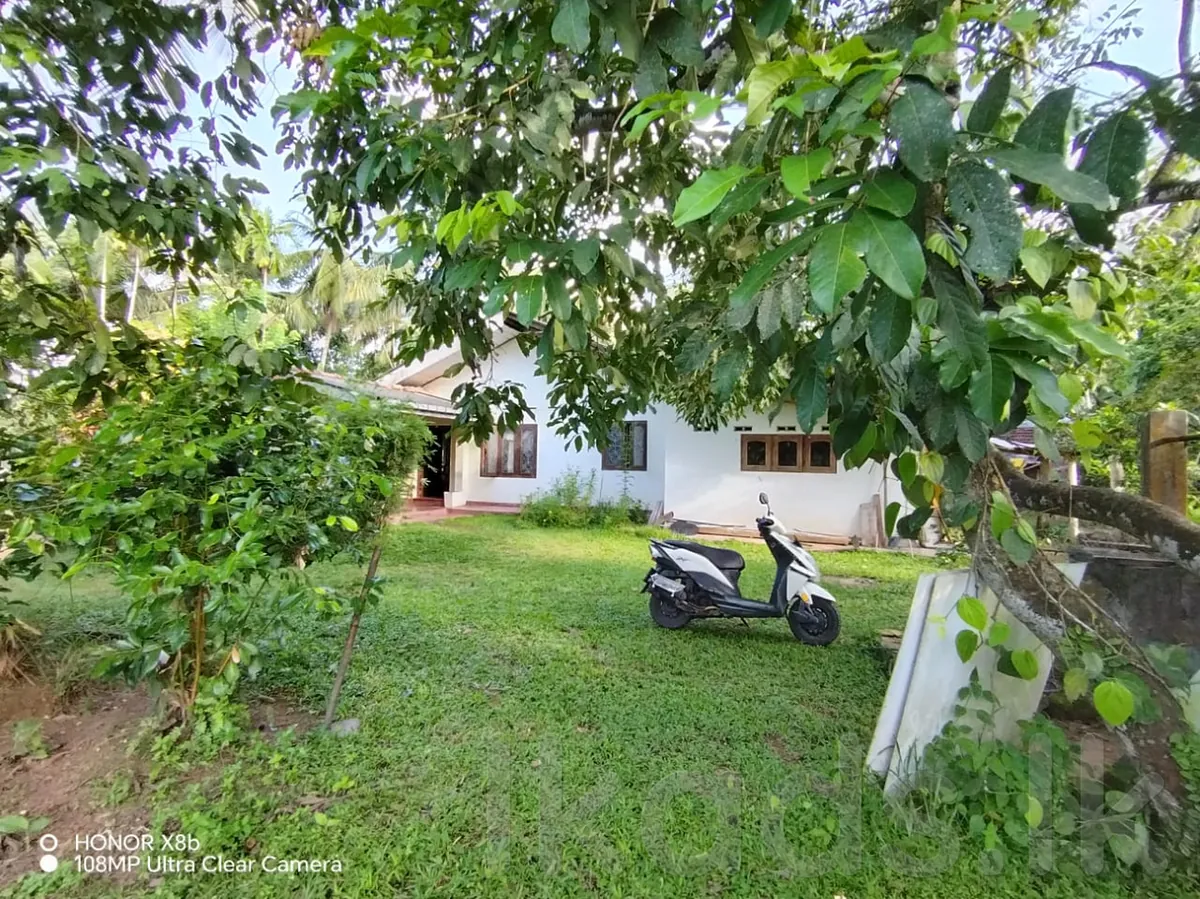 Homagama – Habarakada 698 Bus Route – 45 Perches Land with House for Sale photo 2