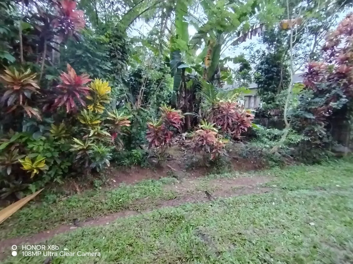 Homagama – Habarakada 698 Bus Route – 45 Perches Land with House for Sale photo 5