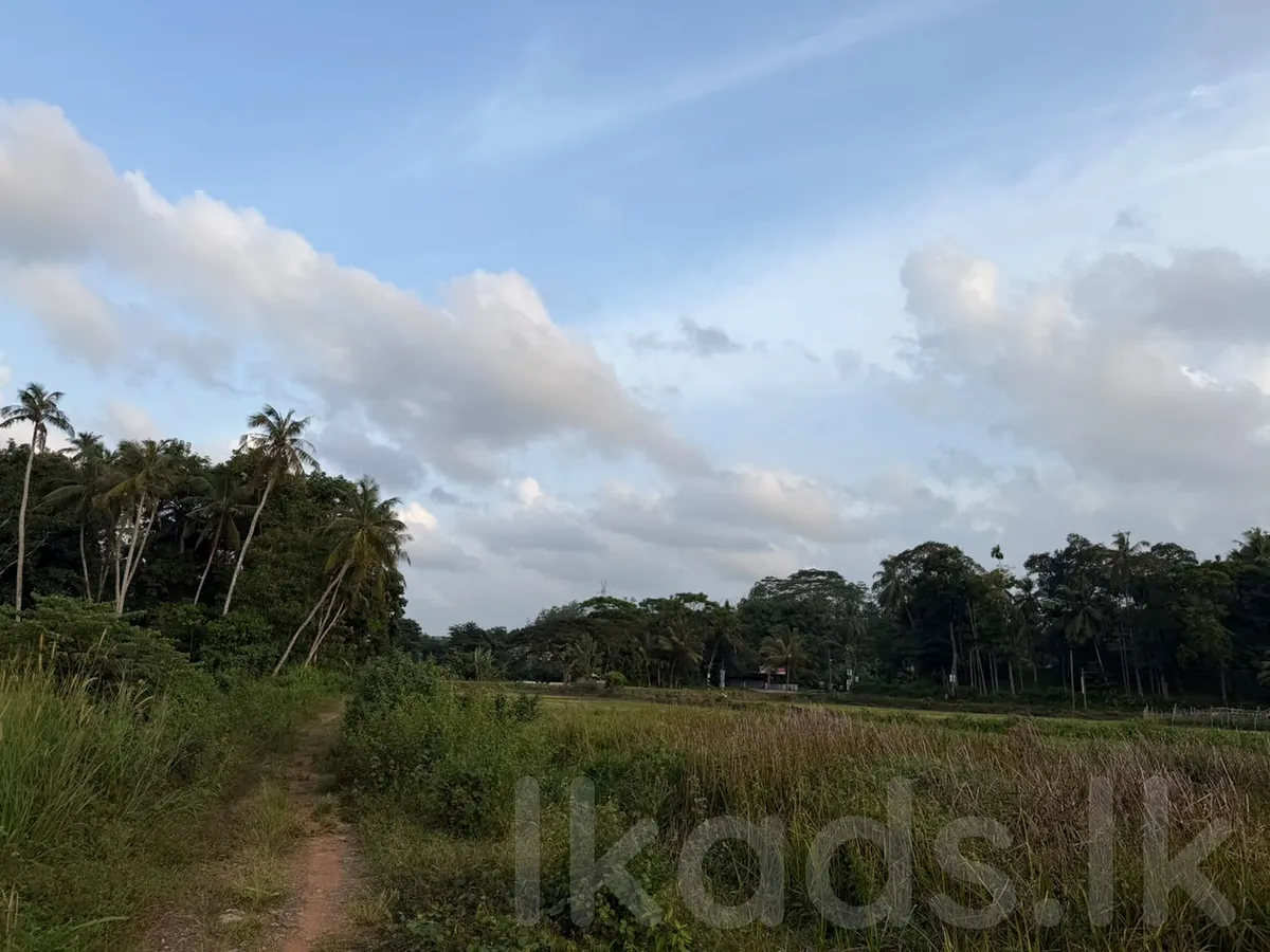 W70 Villa.land – Pinnaduwa – 85 Perches Land for Sale photo 6