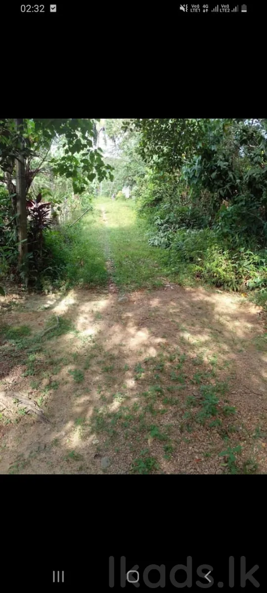 හොරණ - පොරුවදන්ඩ – කුඩා නිවසක් සමග ඉඩමක් විකිණීමට – පර්චස් 40 photo 7