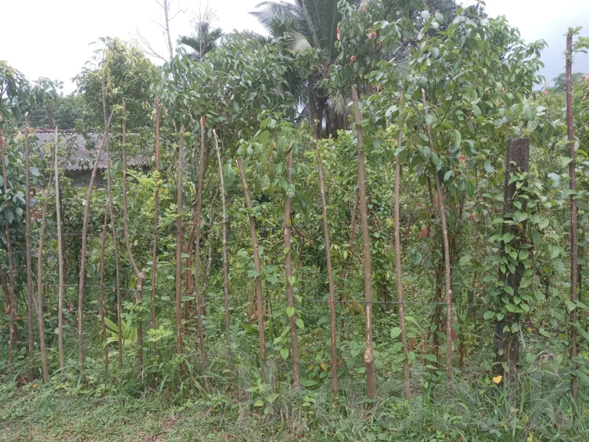 Near Welipanna – Land with New House for Sale photo 5