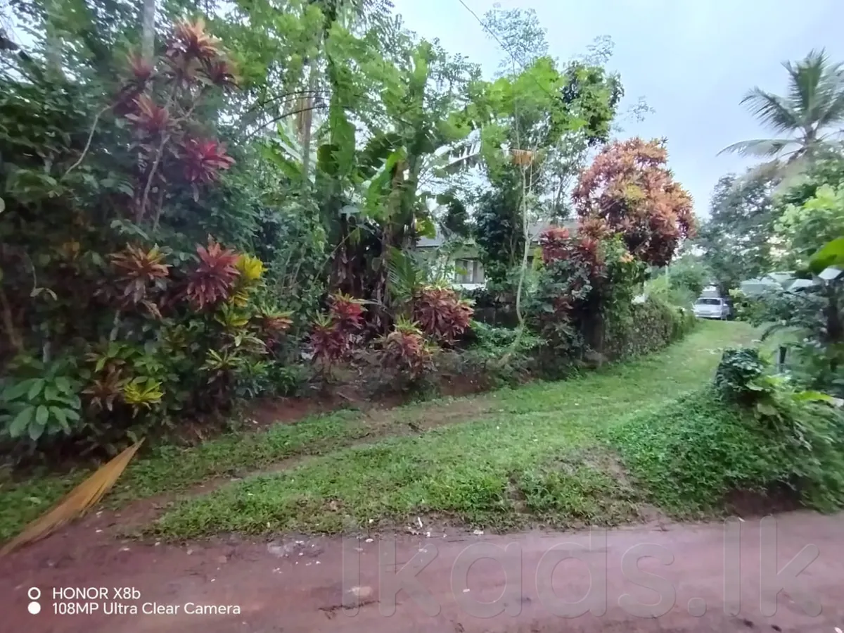 Homagama – Habarakada 698 Bus Route – 45 Perches Land with House for Sale photo 3