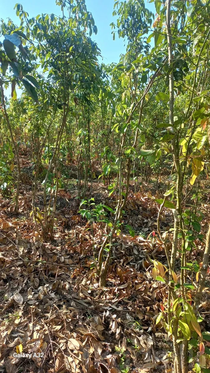Near Welipanna – Land with New House for Sale photo 9