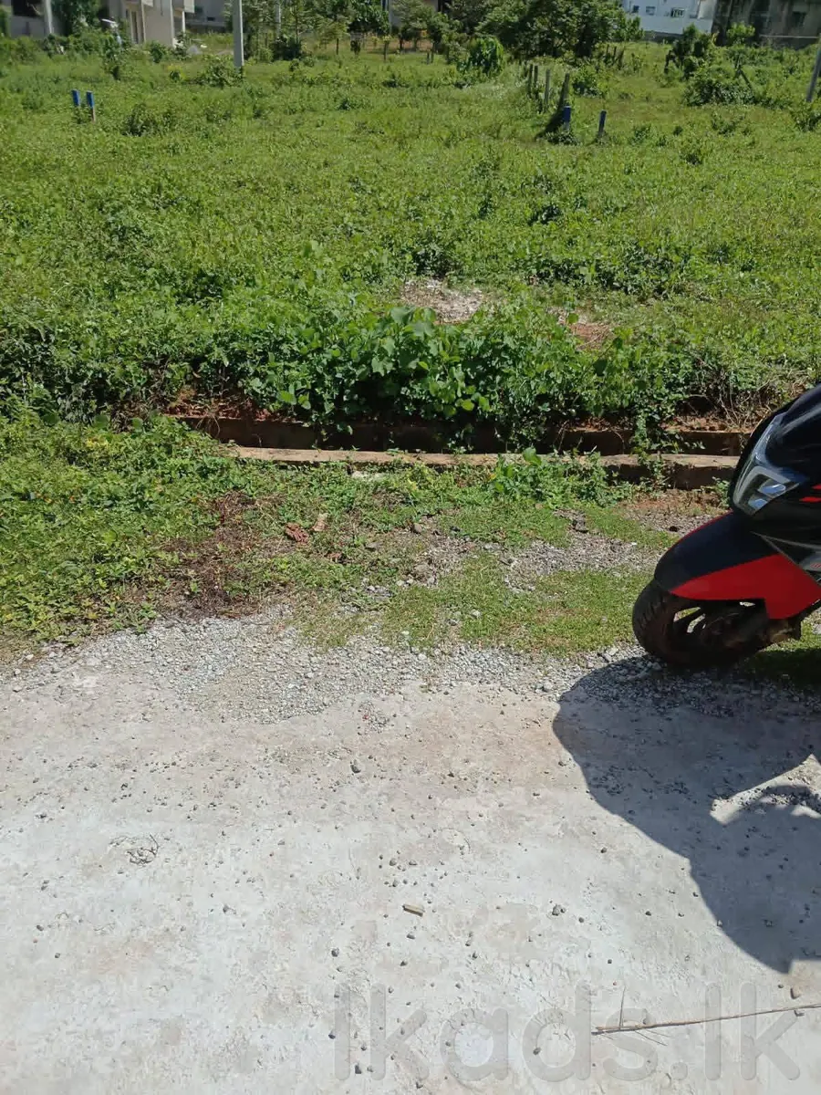 Kadawatha Delgoda Land for Sale – 6 Perches photo 2