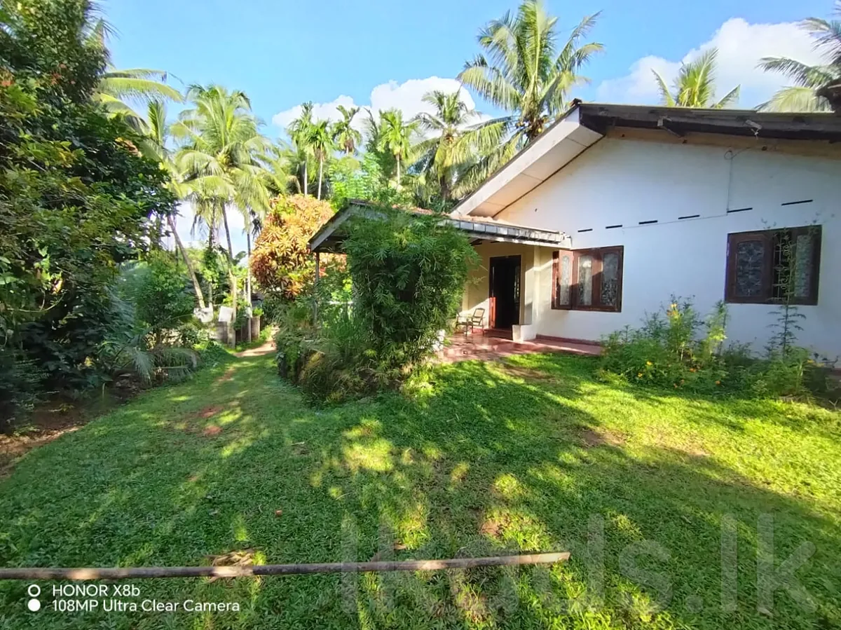 Homagama – Habarakada 698 Bus Route – 45 Perches Land with House for Sale in Colombo, Homagama