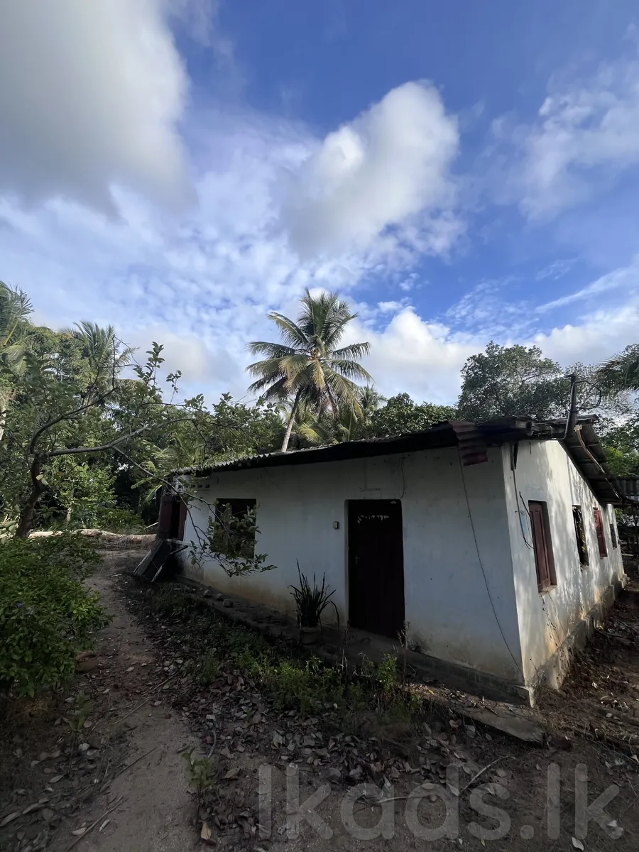 🏡 දෙසියගමින් සුපිරි අවස්ථාවක්! 🌴  (Ai Photos )  මහව නගරයටත්, මහව රෝහලටත් පහසුවෙන් ළඟා විය හැකි ස්ථානයක පිහිටි පචස් 40ක සින්නක්කර ඉඩමක් සමඟ නිවසක්. 💚  📜 සින්නක්කර ඔප්පු සහිතයි 💧 ජලය | ⚡ විදුලිය 🛣️ ප්‍රධාන පාරට මීටර් 50යි 🏥 මහව රෝහලට කි.මී. 1.5යි 🏙️ මහව ටවු photo 4