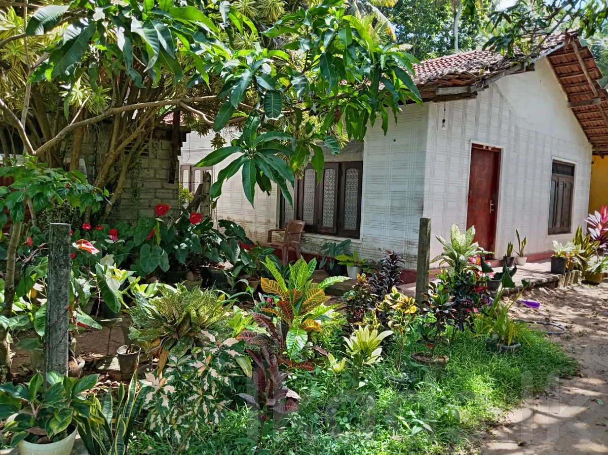 HOUSE FOR SALE – RADDOLOGAMA / KATUNAYAKE photo 3