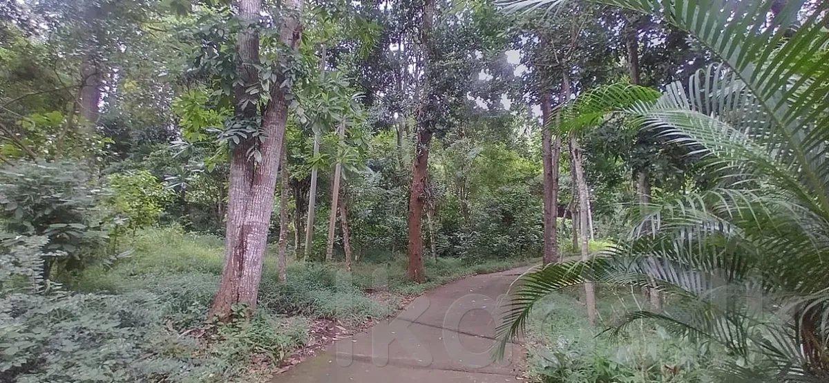 Pallekele – Kandy – Premium Land for Sale – 41.5 Perches photo 4