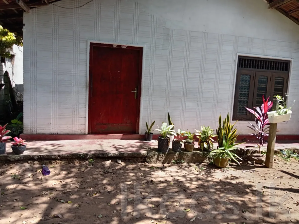 HOUSE FOR SALE – RADDOLOGAMA / KATUNAYAKE