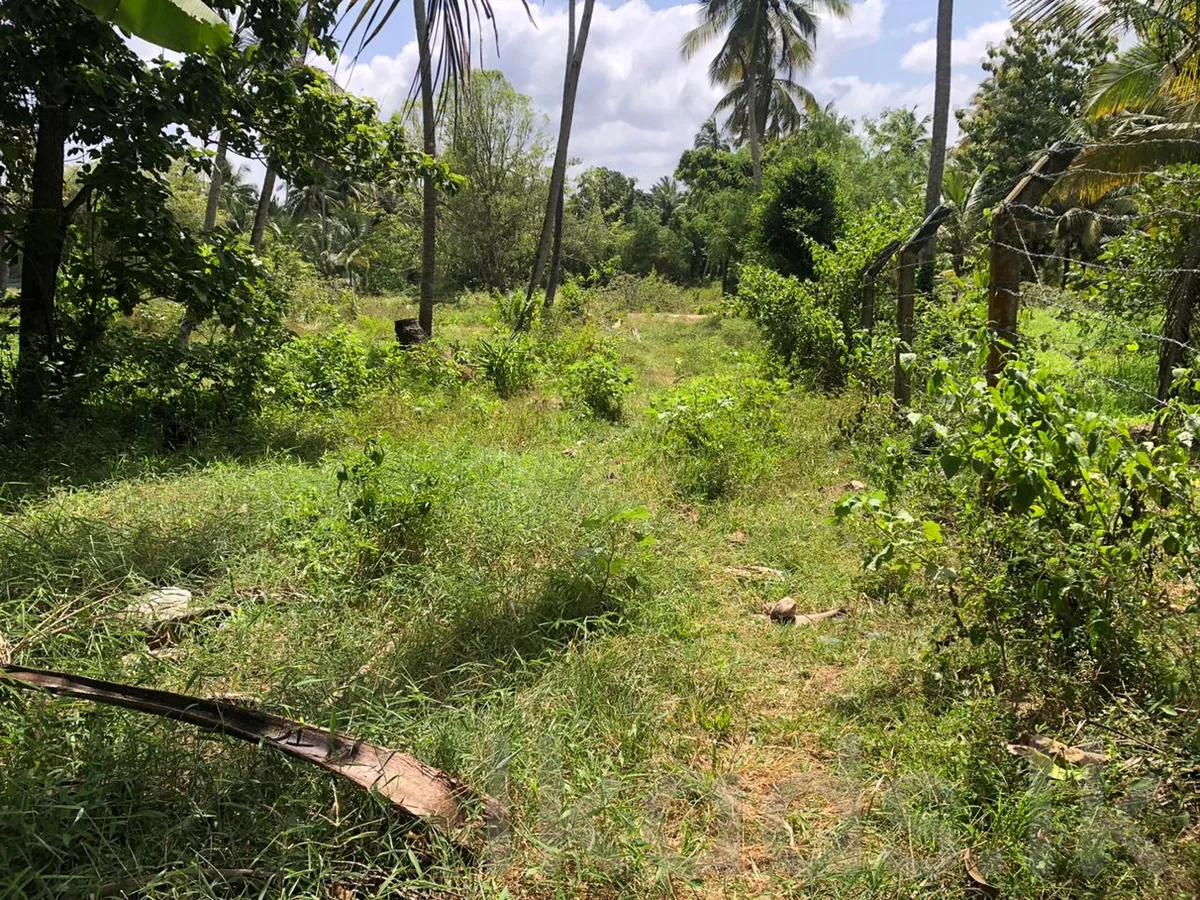 Land in Kurunegala, Wariyapola