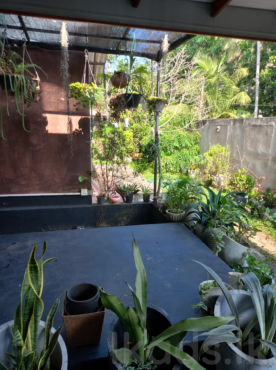 කුරුණෑගලින් නිවසක් photo 3