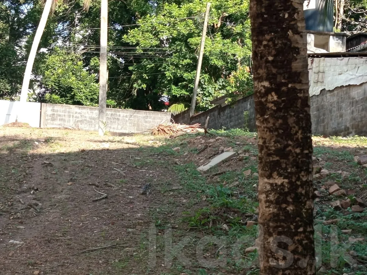 Prime Residential Land for Sale – 80 Perches photo 4