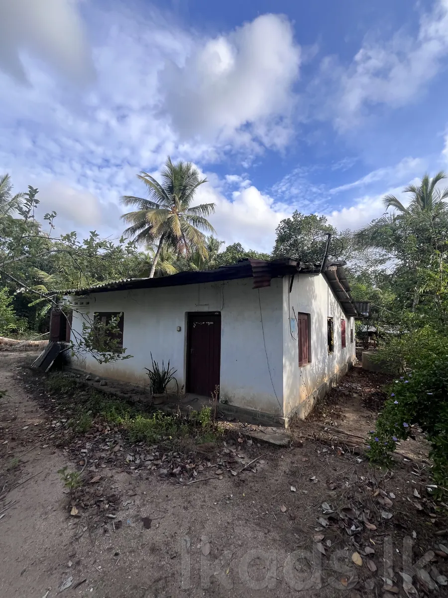 🏡 දෙසියගමින් සුපිරි අවස්ථාවක්! 🌴  (Ai Photos )  මහව නගරයටත්, මහව රෝහලටත් පහසුවෙන් ළඟා විය හැකි ස්ථානයක පිහිටි පචස් 40ක සින්නක්කර ඉඩමක් සමඟ නිවසක්. 💚  📜 සින්නක්කර ඔප්පු සහිතයි 💧 ජලය | ⚡ විදුලිය 🛣️ ප්‍රධාන පාරට මීටර් 50යි 🏥 මහව රෝහලට කි.මී. 1.5යි 🏙️ මහව ටවු photo 6