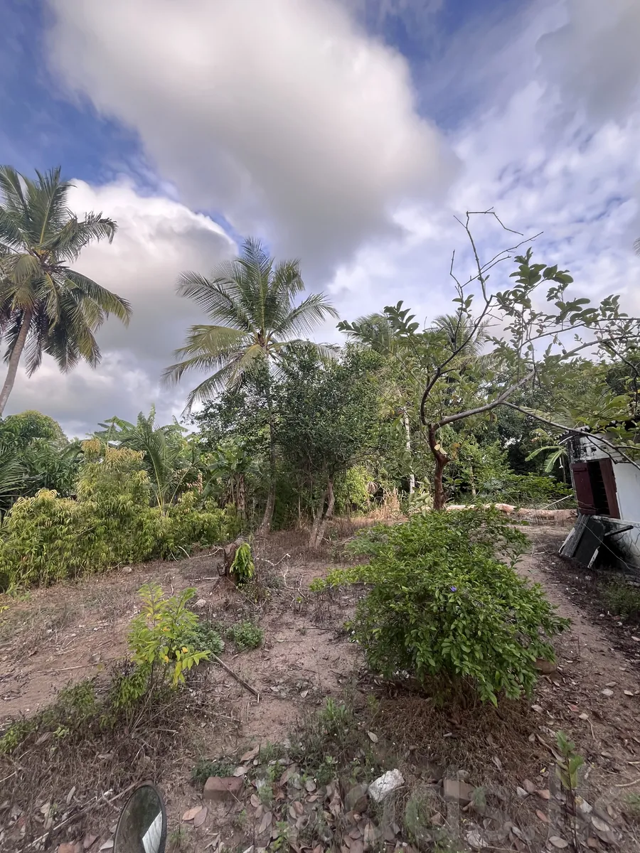 🏡 දෙසියගමින් සුපිරි අවස්ථාවක්! 🌴  (Ai Photos )  මහව නගරයටත්, මහව රෝහලටත් පහසුවෙන් ළඟා විය හැකි ස්ථානයක පිහිටි පචස් 40ක සින්නක්කර ඉඩමක් සමඟ නිවසක්. 💚  📜 සින්නක්කර ඔප්පු සහිතයි 💧 ජලය | ⚡ විදුලිය 🛣️ ප්‍රධාන පාරට මීටර් 50යි 🏥 මහව රෝහලට කි.මී. 1.5යි 🏙️ මහව ටවු photo 5