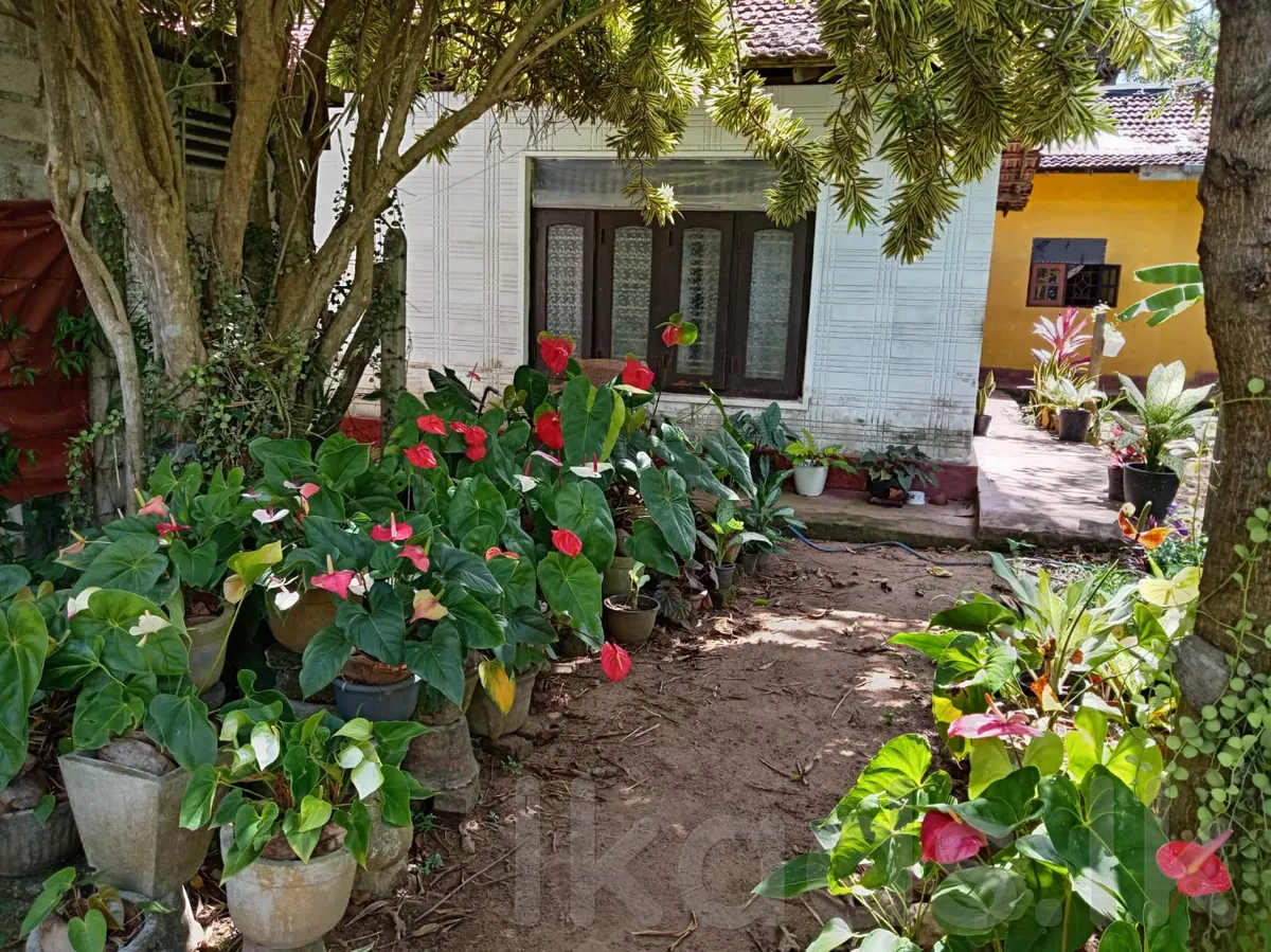 HOUSE FOR SALE – RADDOLOGAMA / KATUNAYAKE photo 2