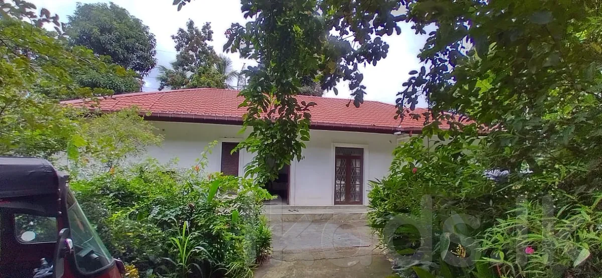 Pallekele – Kandy – Premium Land for Sale – 41.5 Perches photo 2
