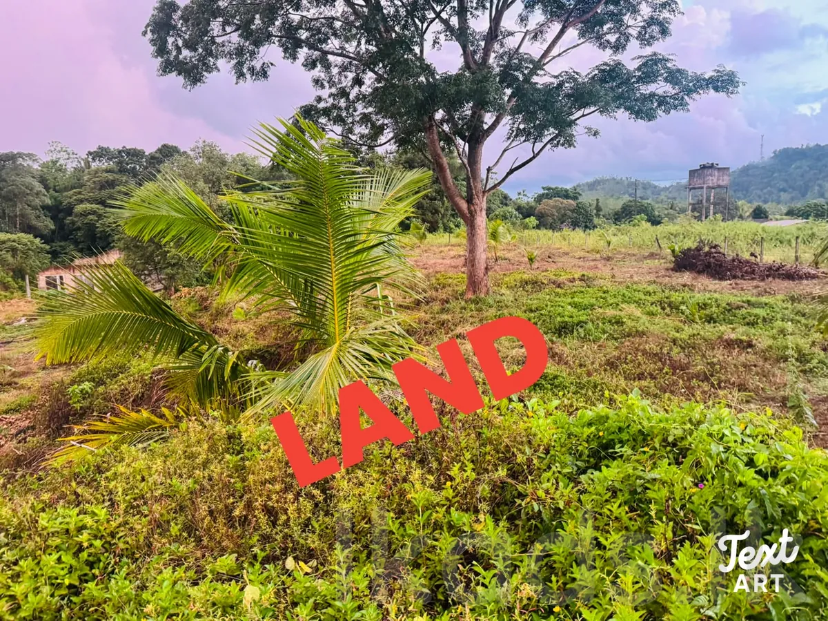 🏡 හොරණ – කනන්විල පර්චස් 135ක වටිනා දේපළක් විකිණීමට photo 2