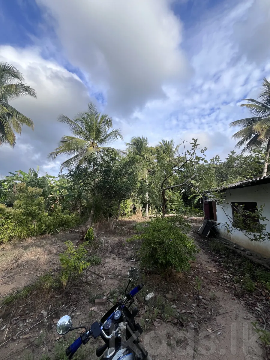 🏡 දෙසියගමින් සුපිරි අවස්ථාවක්! 🌴  (Ai Photos )  මහව නගරයටත්, මහව රෝහලටත් පහසුවෙන් ළඟා විය හැකි ස්ථානයක පිහිටි පචස් 40ක සින්නක්කර ඉඩමක් සමඟ නිවසක්. 💚  📜 සින්නක්කර ඔප්පු සහිතයි 💧 ජලය | ⚡ විදුලිය 🛣️ ප්‍රධාන පාරට මීටර් 50යි 🏥 මහව රෝහලට කි.මී. 1.5යි 🏙️ මහව ටවු photo 7