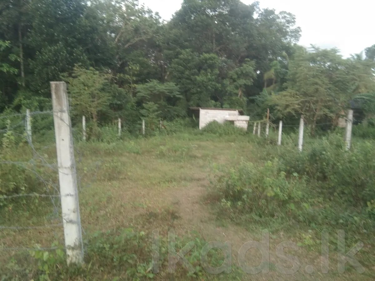 Land For Sale in Bandaragama photo 4