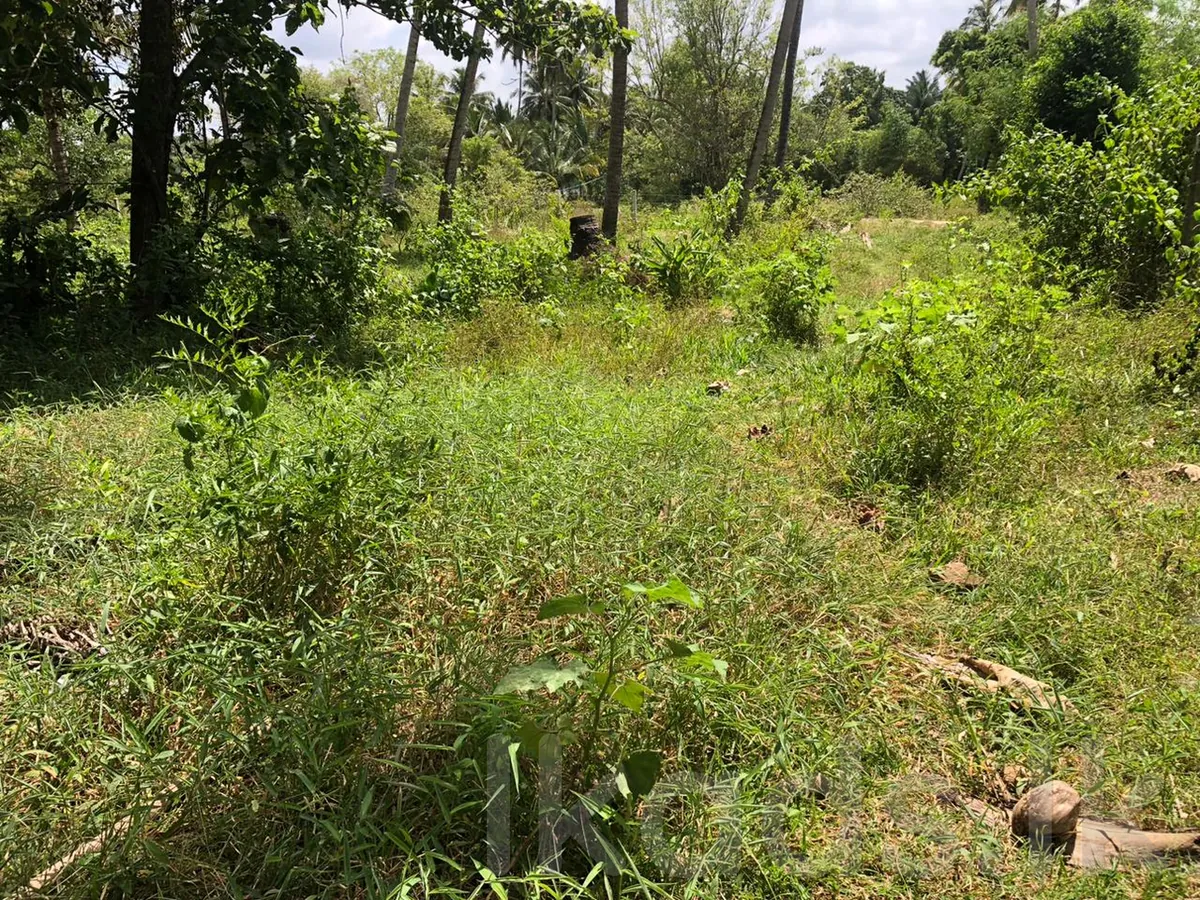 Land photo 3