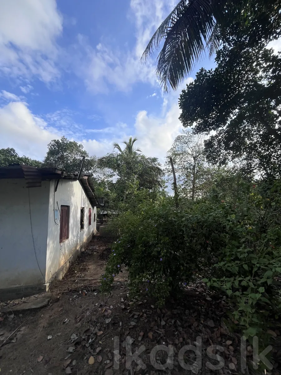 🏡 දෙසියගමින් සුපිරි අවස්ථාවක්! 🌴  (Ai Photos )  මහව නගරයටත්, මහව රෝහලටත් පහසුවෙන් ළඟා විය හැකි ස්ථානයක පිහිටි පචස් 40ක සින්නක්කර ඉඩමක් සමඟ නිවසක්. 💚  📜 සින්නක්කර ඔප්පු සහිතයි 💧 ජලය | ⚡ විදුලිය 🛣️ ප්‍රධාන පාරට මීටර් 50යි 🏥 මහව රෝහලට කි.මී. 1.5යි 🏙️ මහව ටවු photo 2