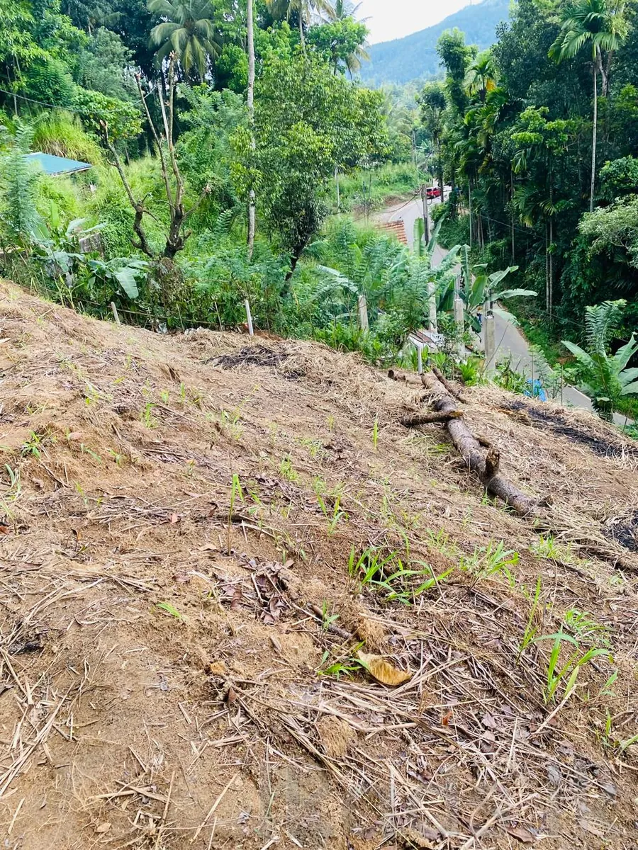 පේරාදෙණිය – පිලිගල්ල – පර් 12.5ක වටිනා ඉඩමක් විකිණීමට photo 4