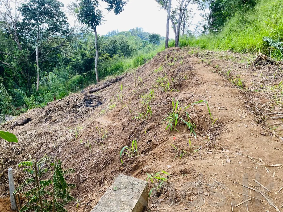 පේරාදෙණිය – පිලිගල්ල – පර් 12.5ක වටිනා ඉඩමක් විකිණීමට photo 2