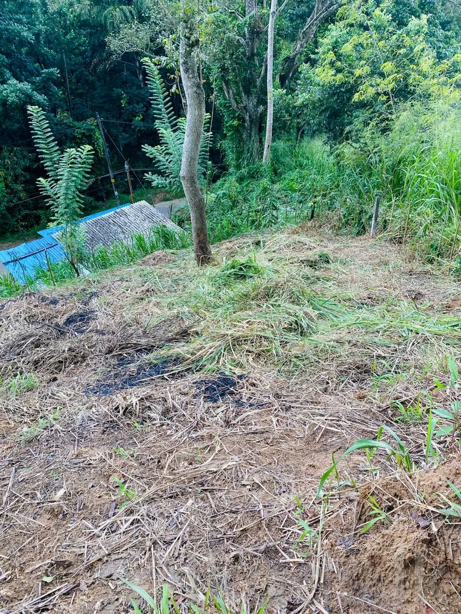 පේරාදෙණිය – පිලිගල්ල – පර් 12.5ක වටිනා ඉඩමක් විකිණීමට photo 5