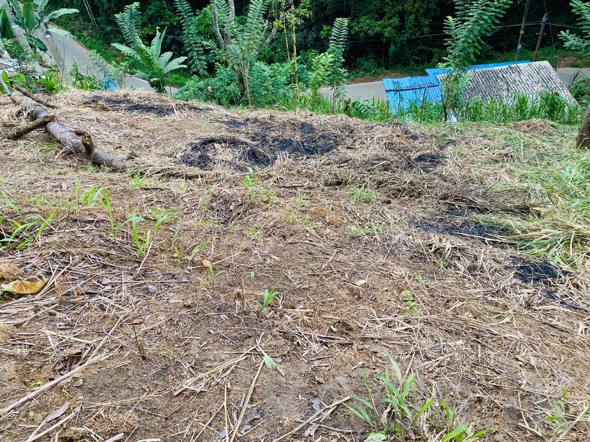 පේරාදෙණිය – පිලිගල්ල – පර් 12.5ක වටිනා ඉඩමක් විකිණීමට photo 6