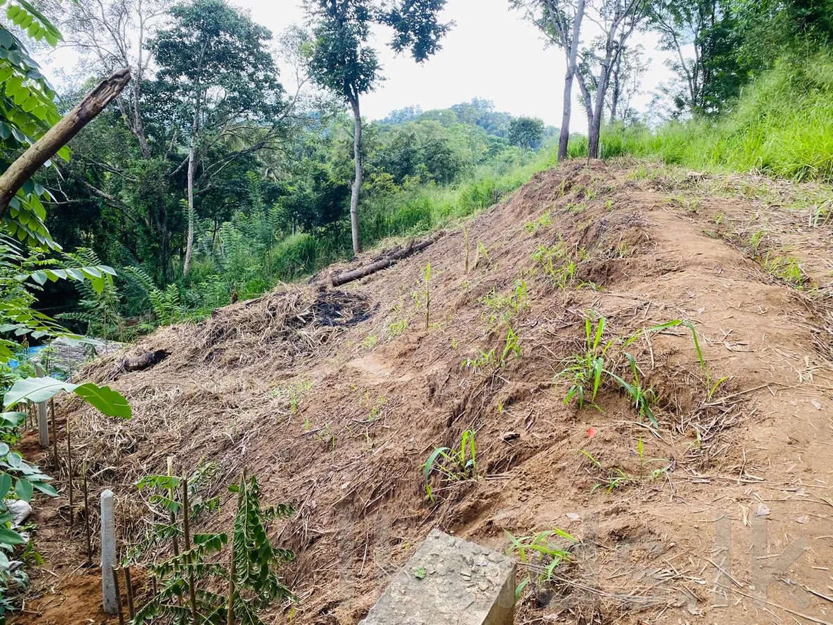පේරාදෙණිය – පිලිගල්ල – පර් 12.5ක වටිනා ඉඩමක් විකිණීමට photo 3