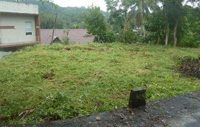 land