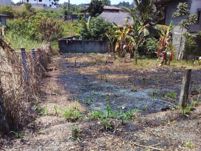 Land for sale