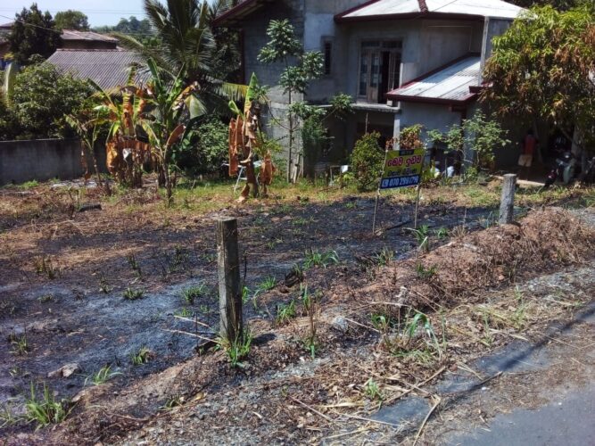 Land for sale