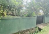 🏡 Prime Land for Sale – Unbeatable Location in Panadura!