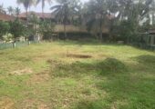 🏡 Prime Land for Sale – Unbeatable Location in Panadura!